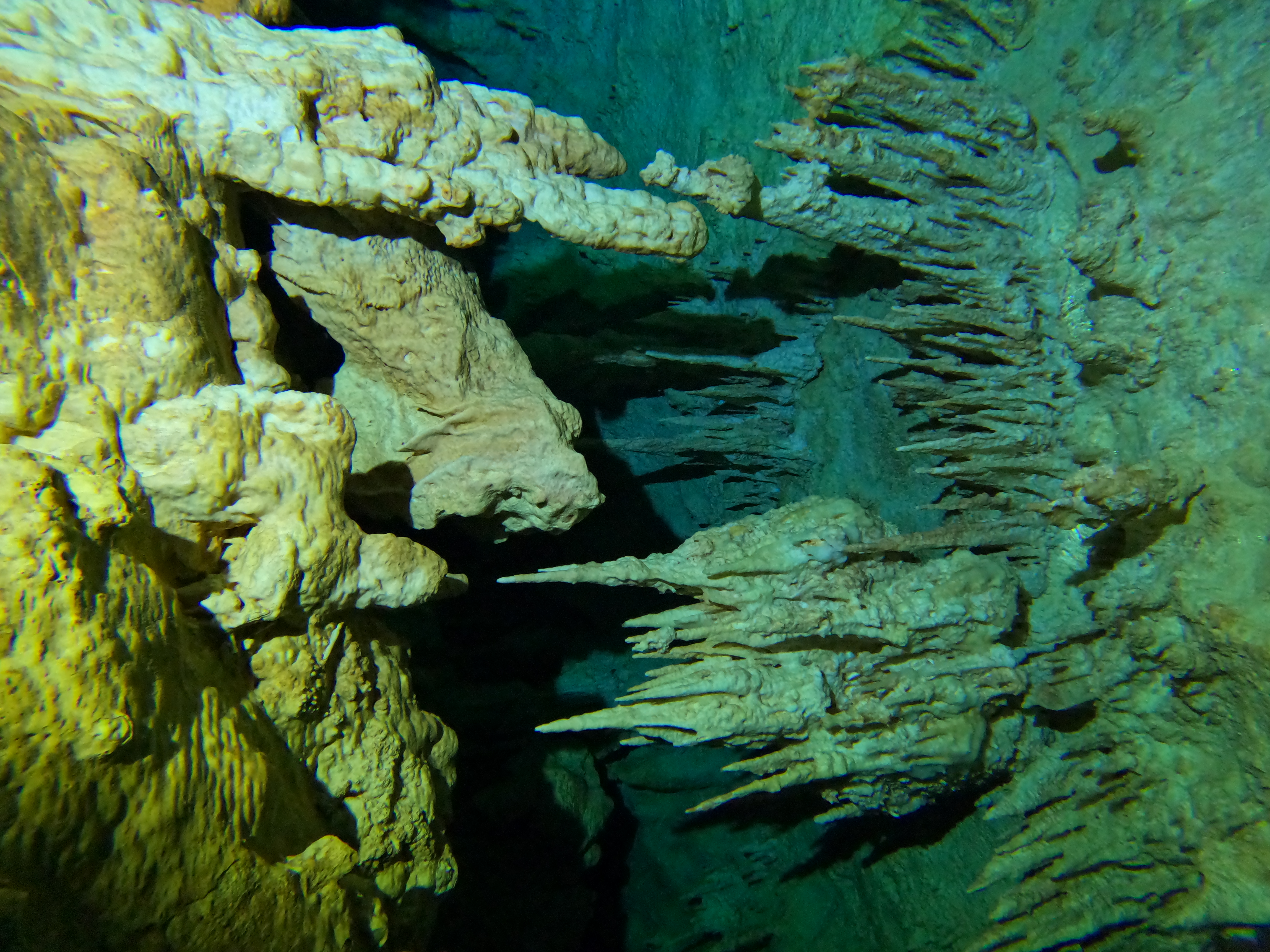 BUCEO EN CAVERNAS O CENOTES