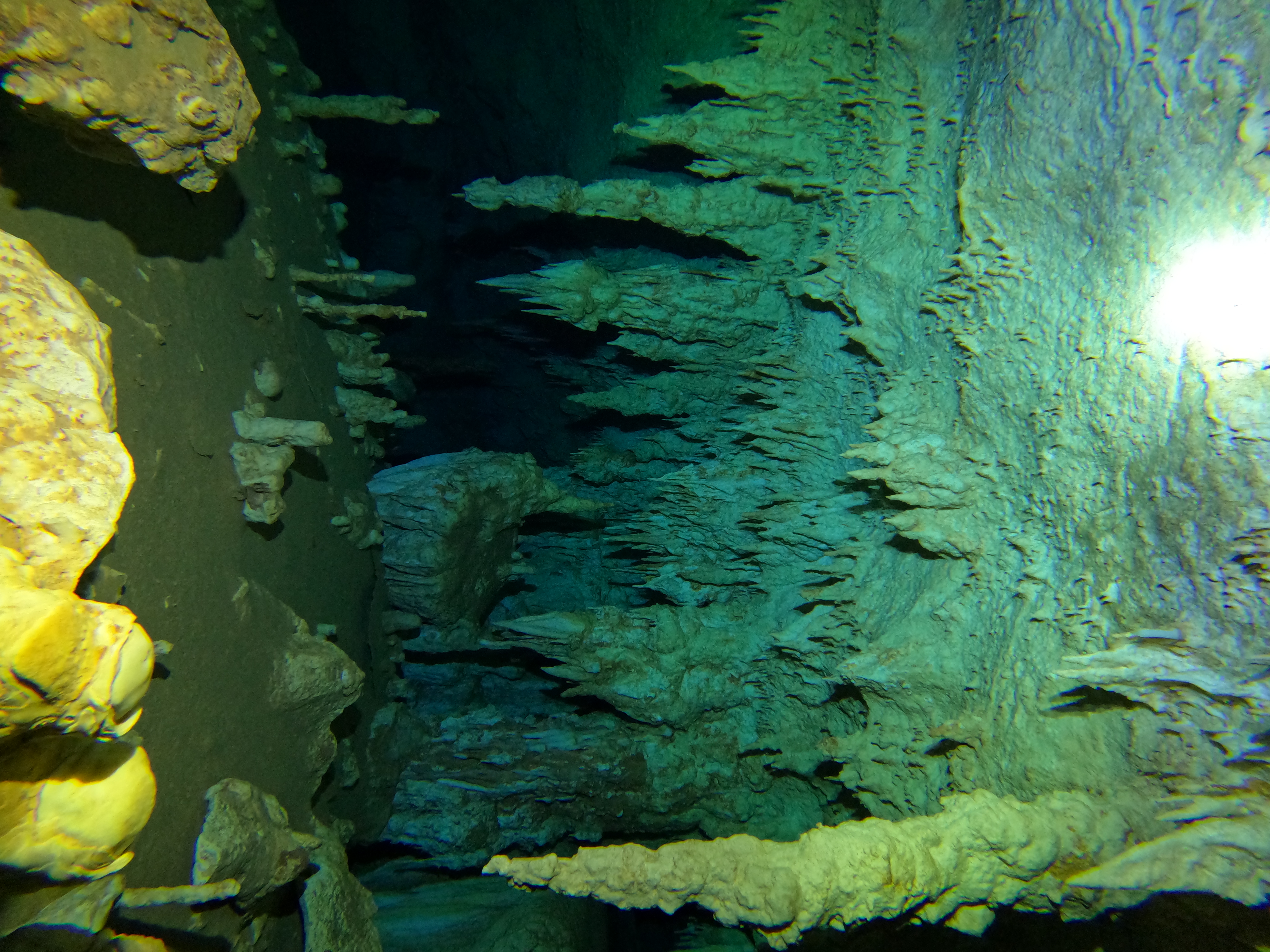 BUCEO EN CAVERNAS O CENOTES