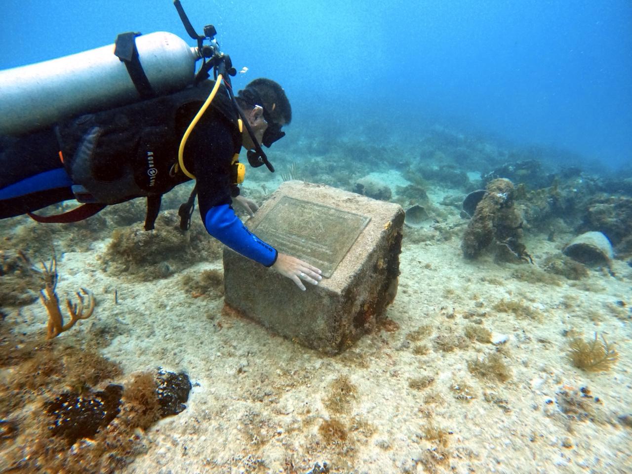 EXCURSIÓN DE BUCEO EN BAYAHIBE