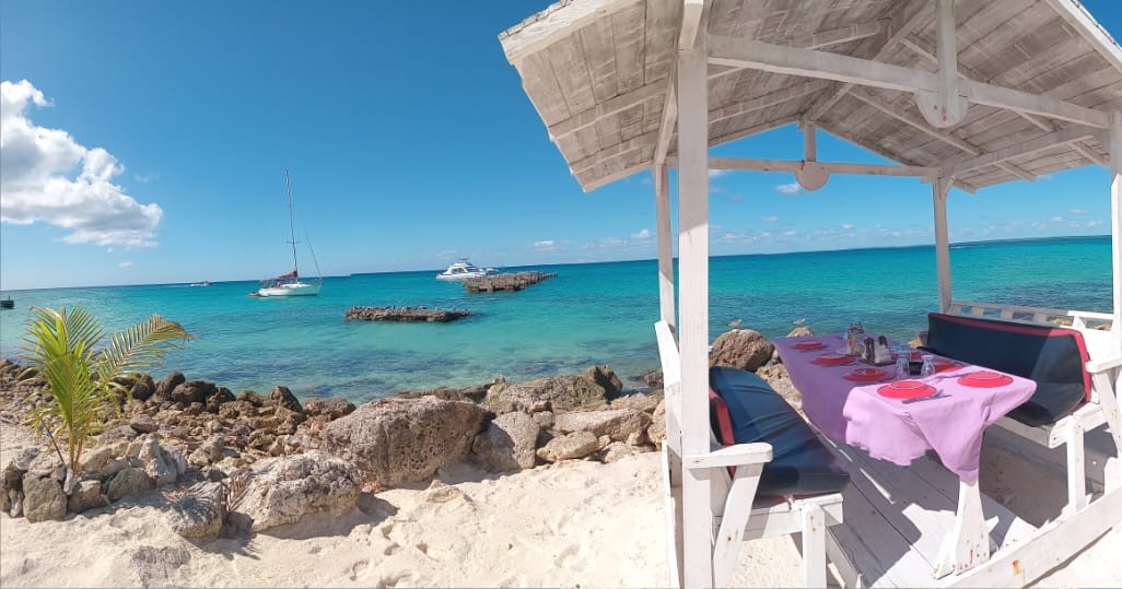 EXCURSIÓN DE ESNORKEL EN ISLA SAONA