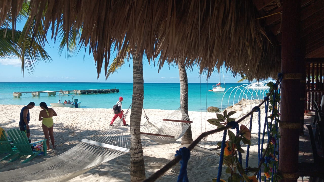 EXCURSIÓN DE ESNORKEL EN ISLA SAONA