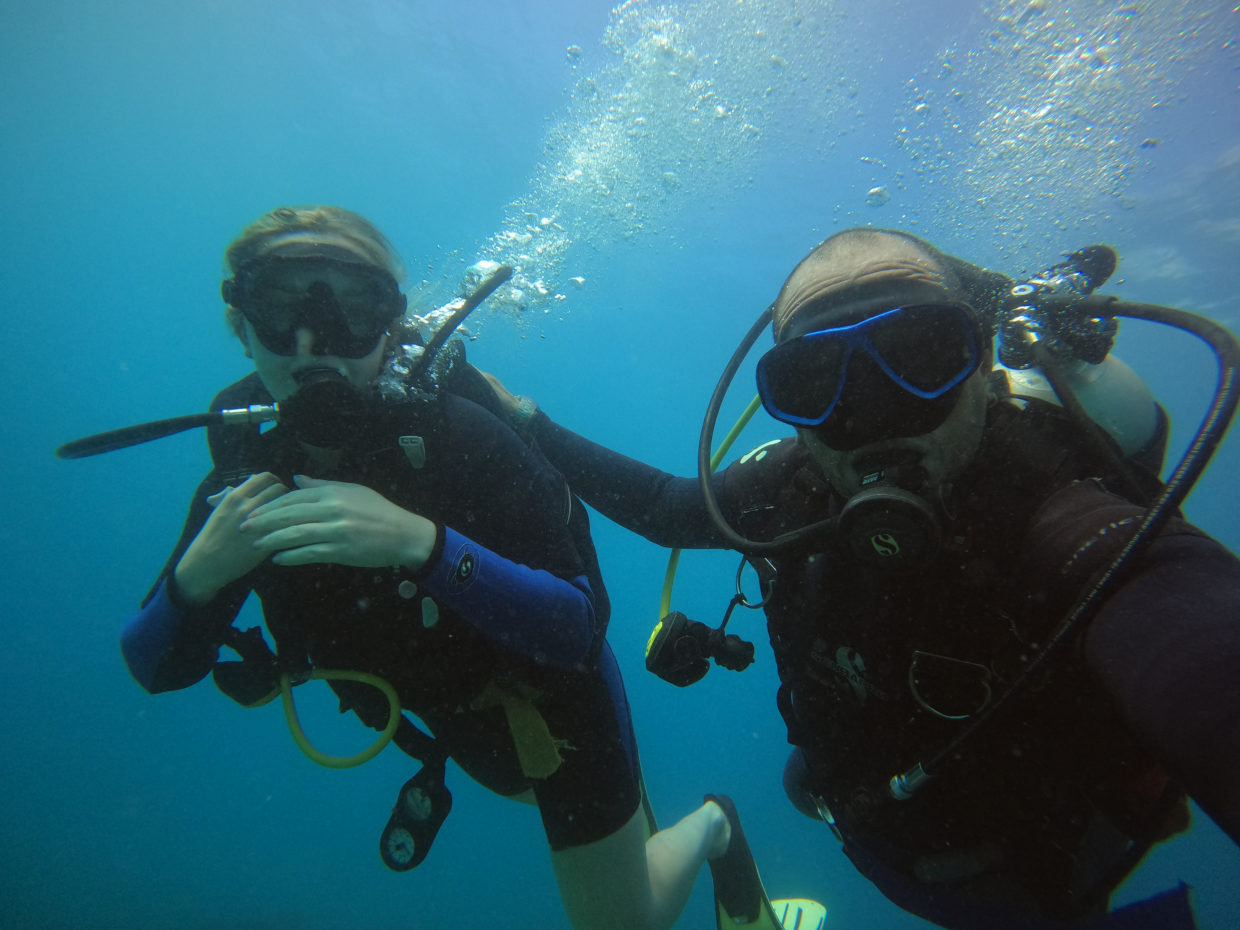 DESCUBRE BUCEO