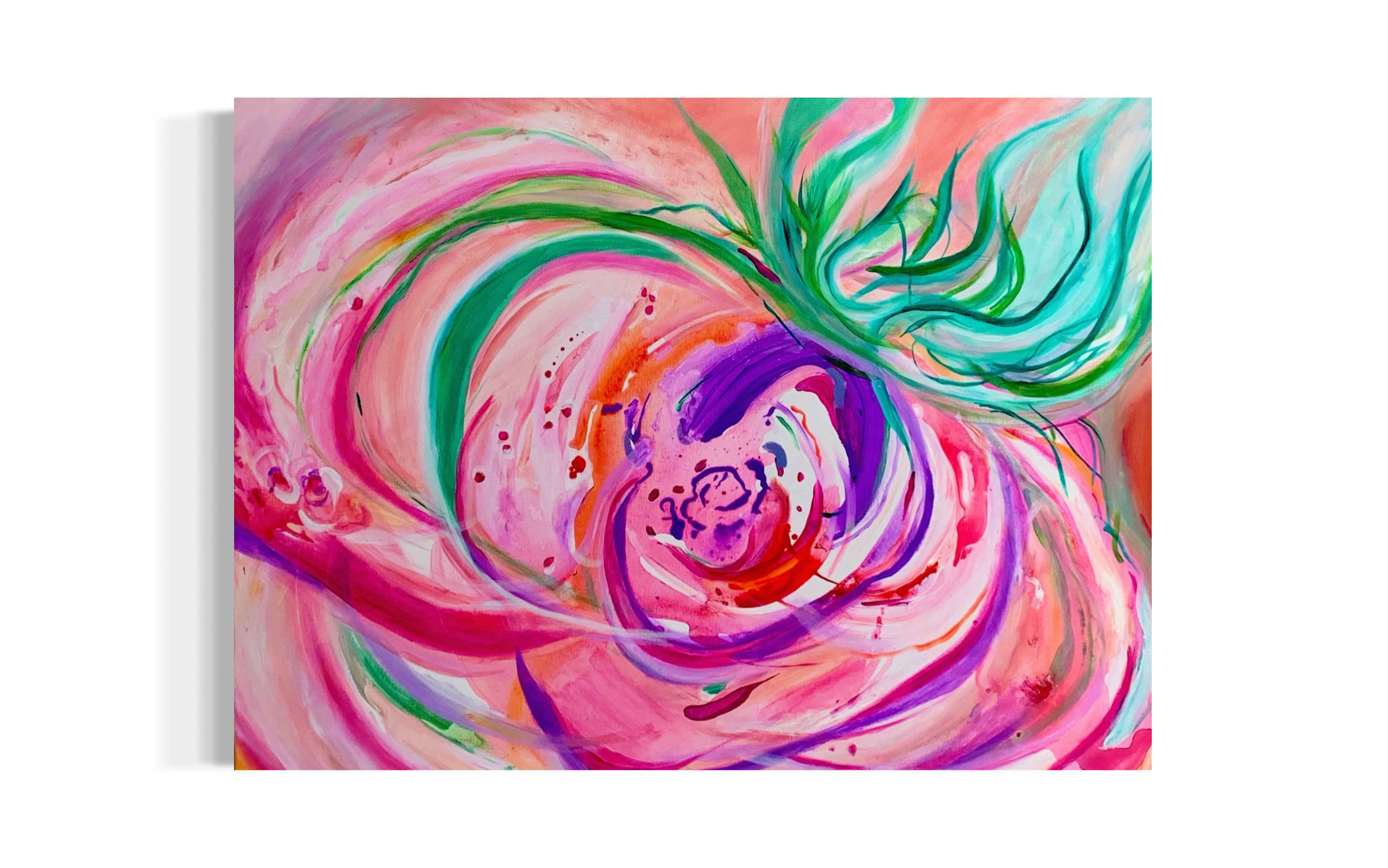 HIBISCUS