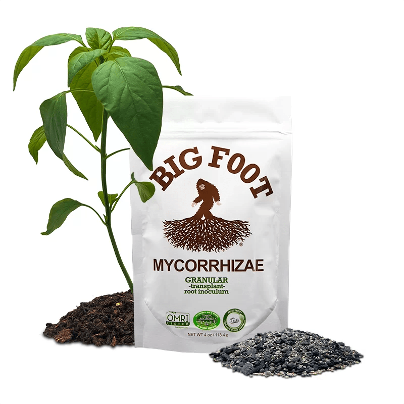 Big Foot Mycorrhizae (Granular)