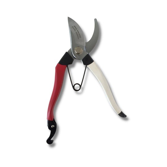 Phoenix Pruner