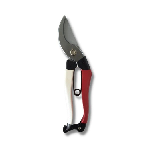 Phoenix Pruner