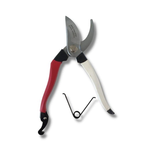 Phoenix Pruner