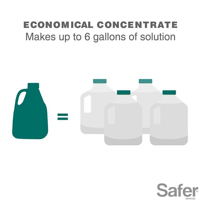 Safer Insecticidal Soap 16 oz Concentrate