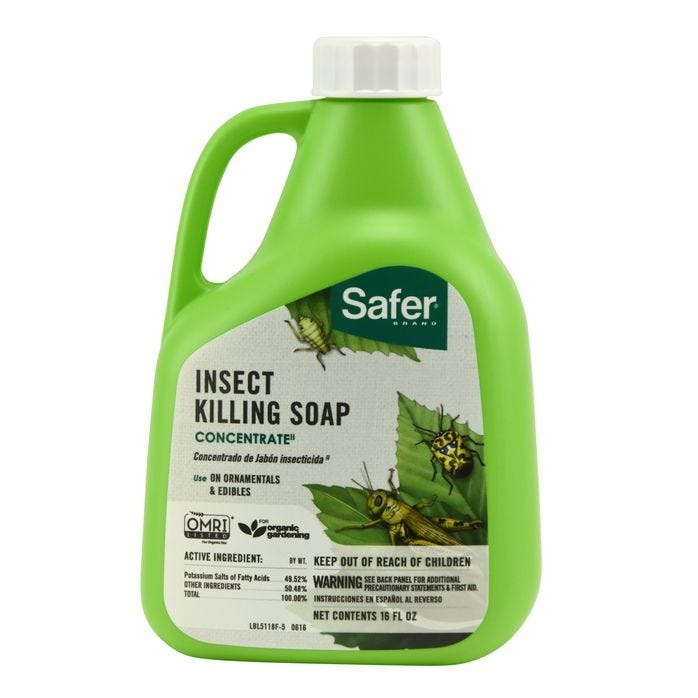Safer Insecticidal Soap 16 oz Concentrate