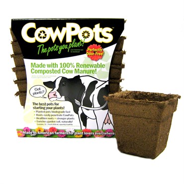 CowPots