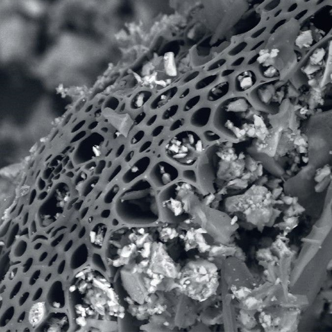 TerraTonic Biochar - 4 qt