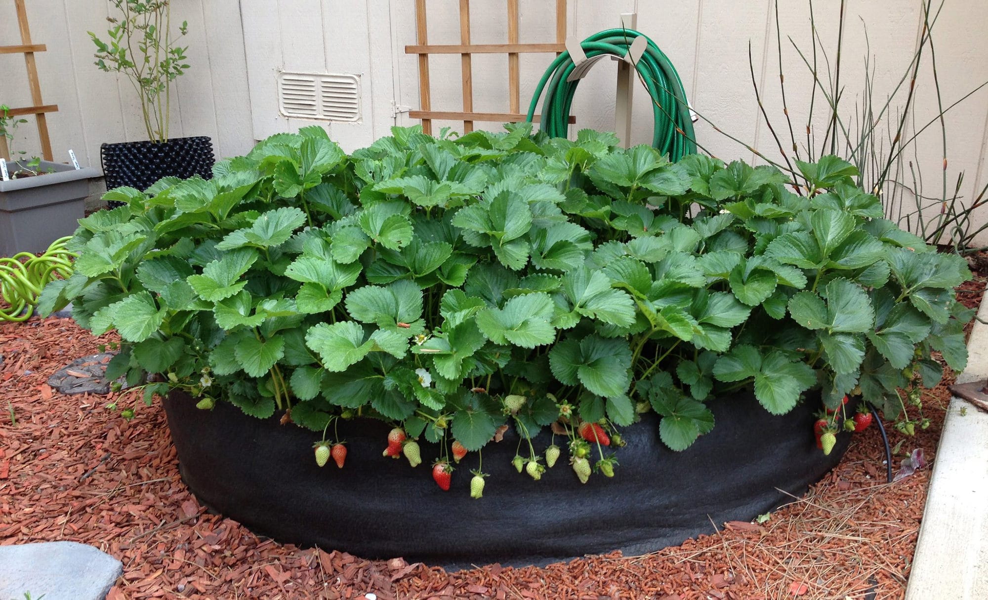 Smart Pot 50" Round Raised Bed