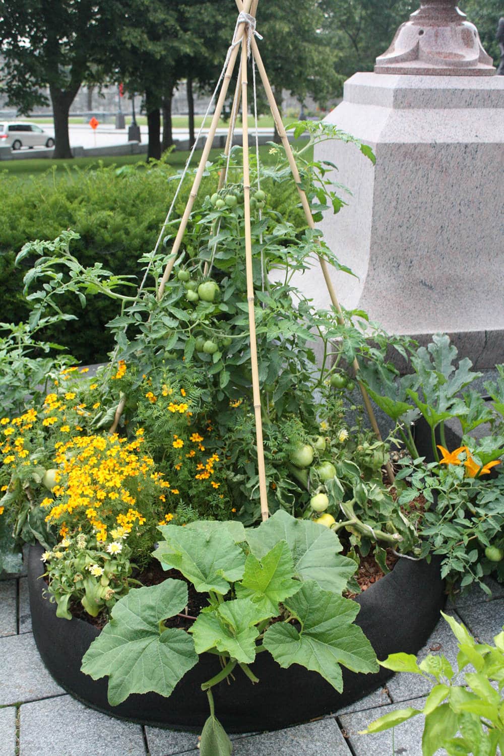 Smart Pot 50" Round Raised Bed