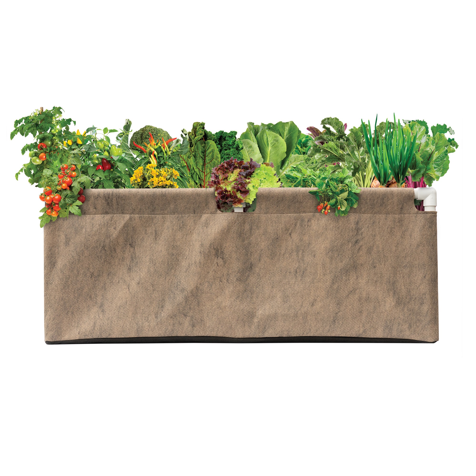 Smart Pot Urban Raised Bed (2' x 4')
