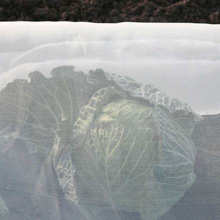 Haxnicks Pre-Cut 16'X16' Micromesh Blankets