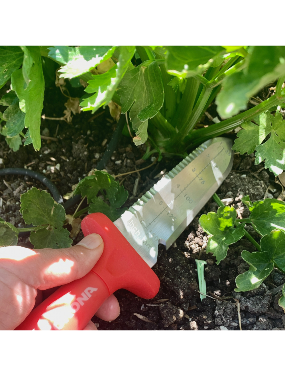 CoronaⓇ Hori Hori Knife Comfort Gel