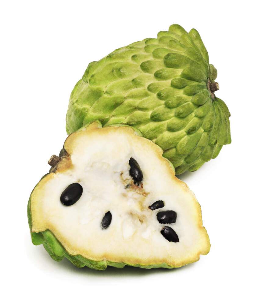 Sugar Apple