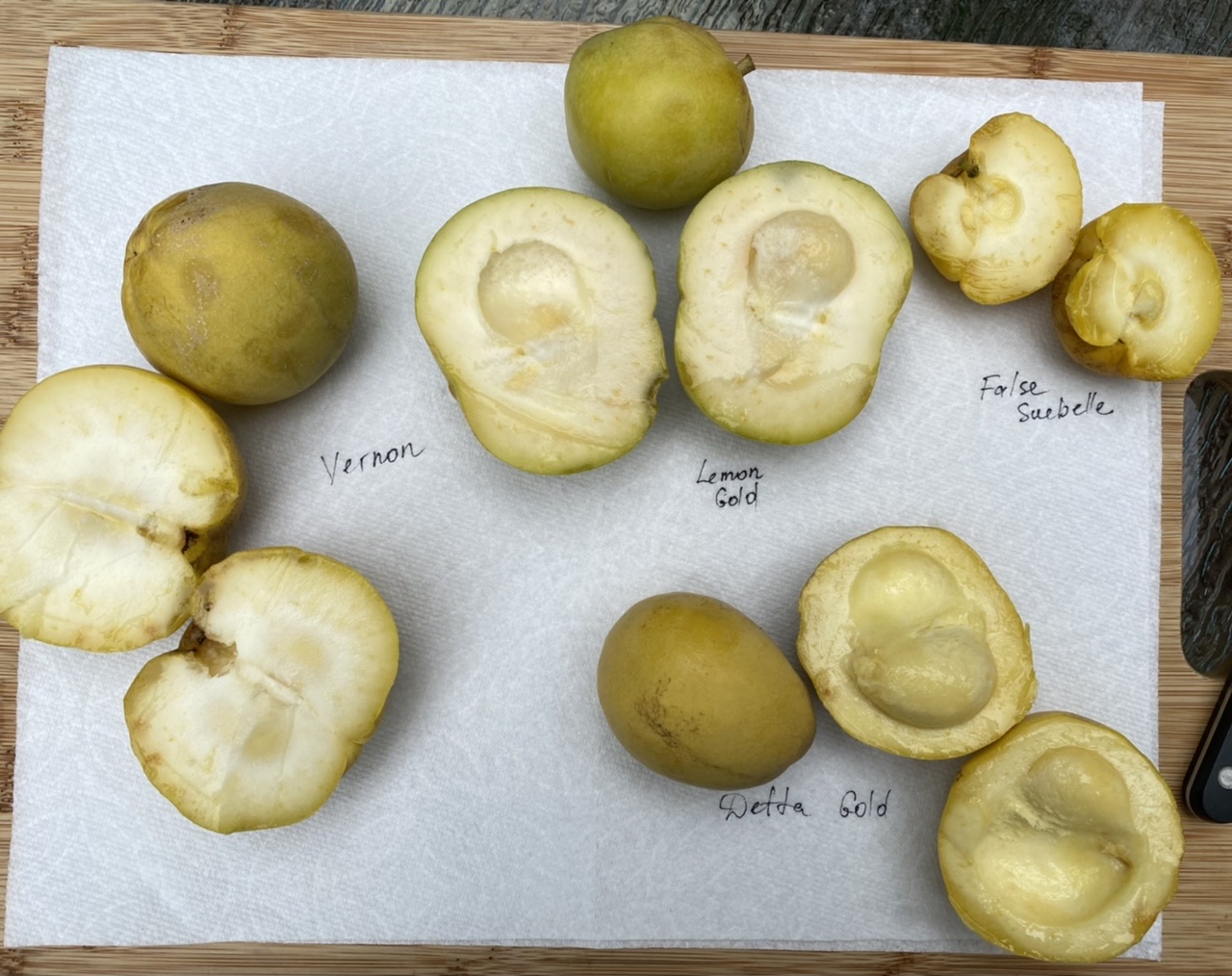 White Sapote