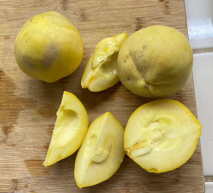 White Sapote