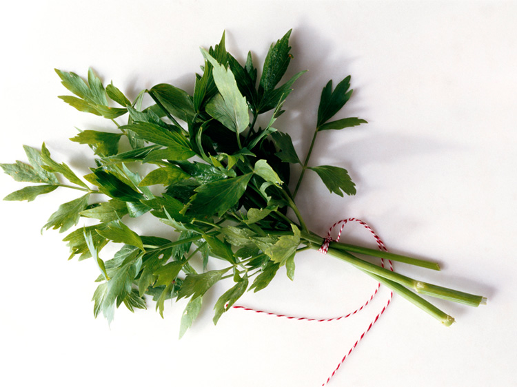 Lovage
