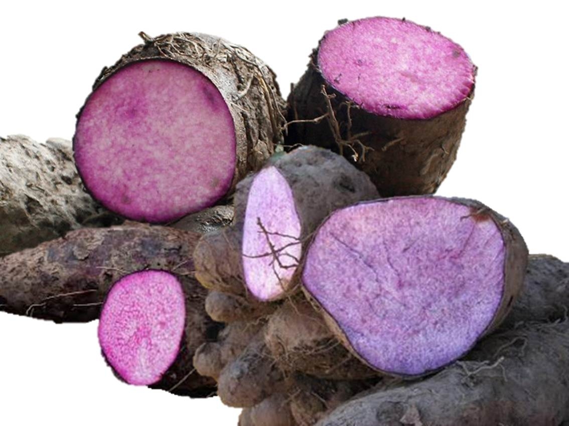 Ube Yam