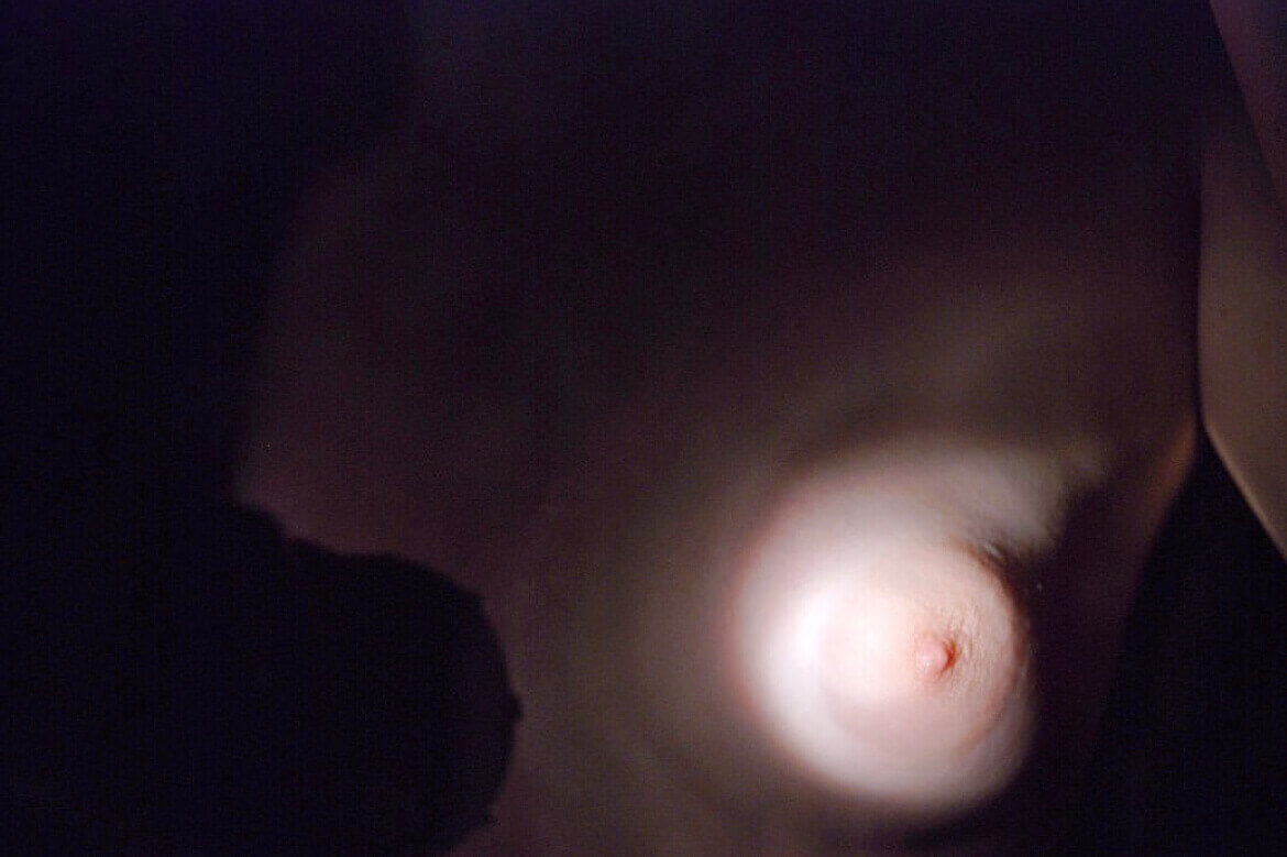 Meditations On The Erotic Body
