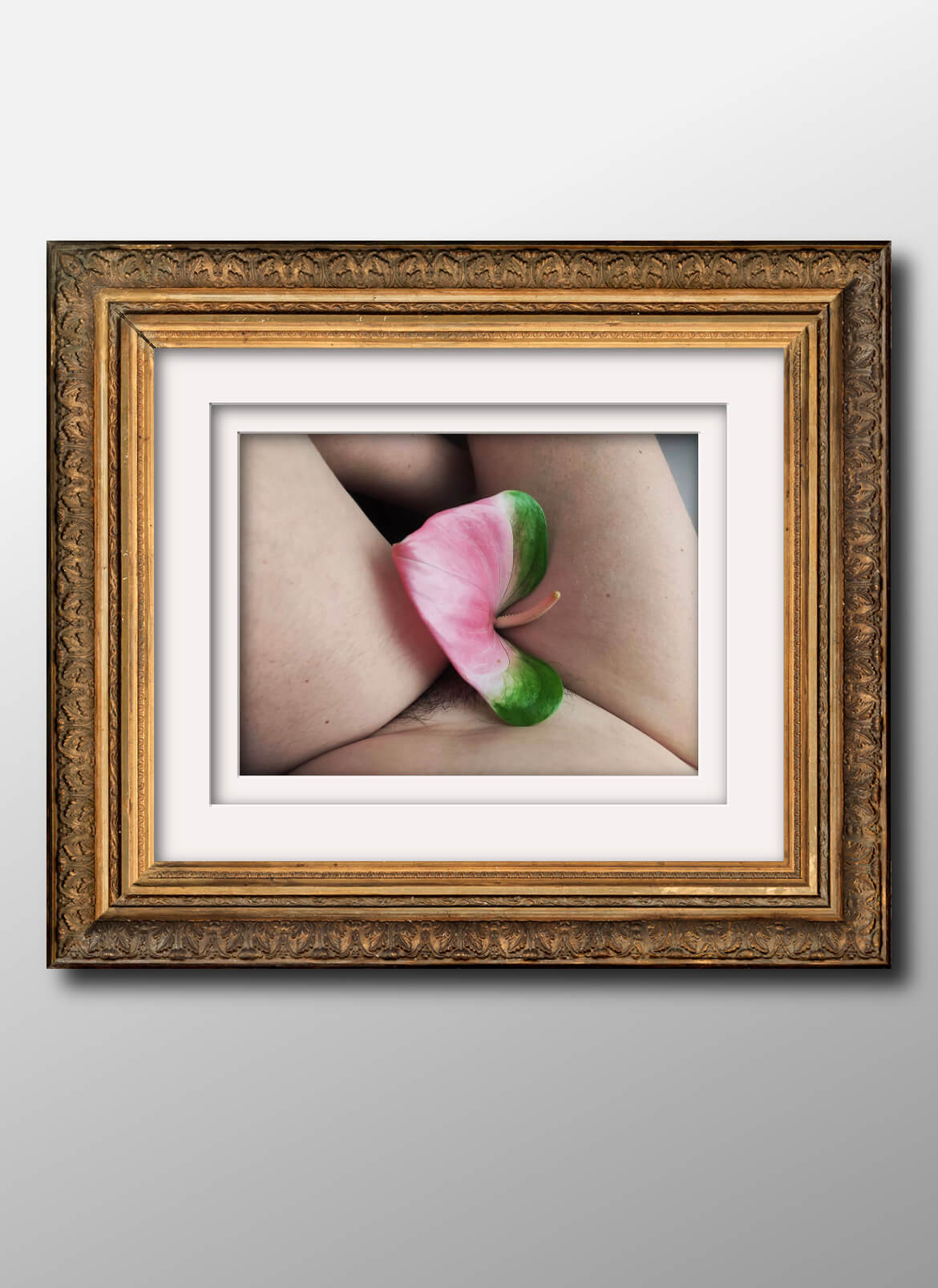 Meditations On The Erotic Body
