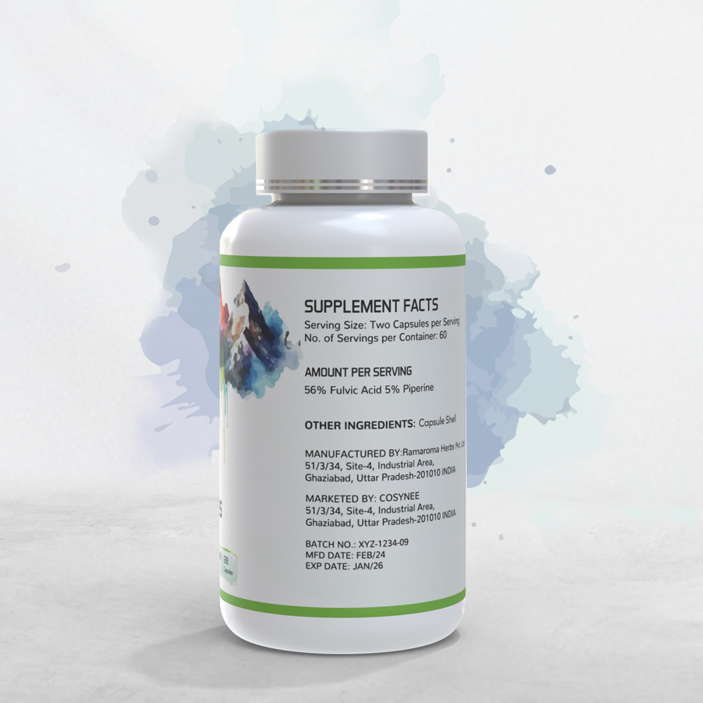 DR AGMANS Shilajit Capsules