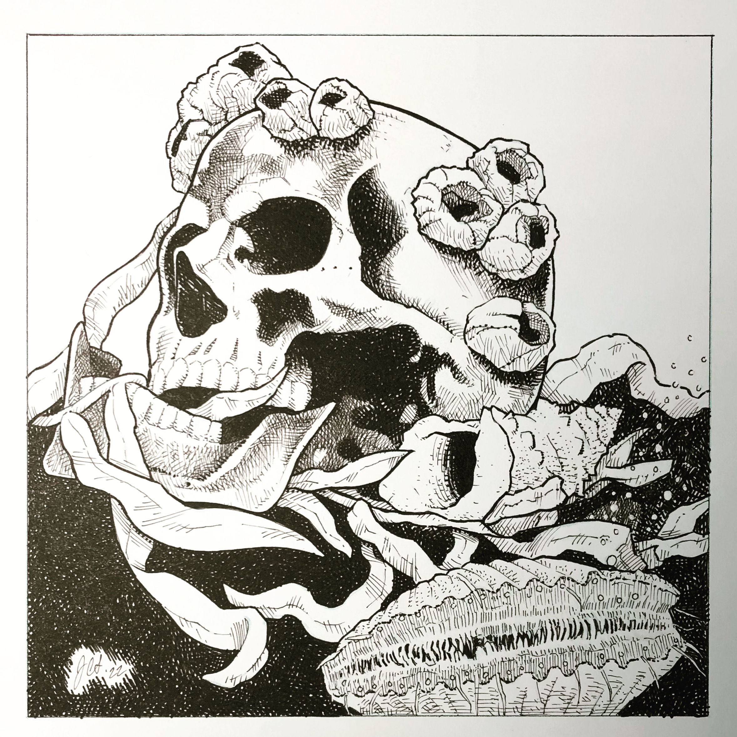 Skull & Barnacles Drawing Original Art (5” x 5”)