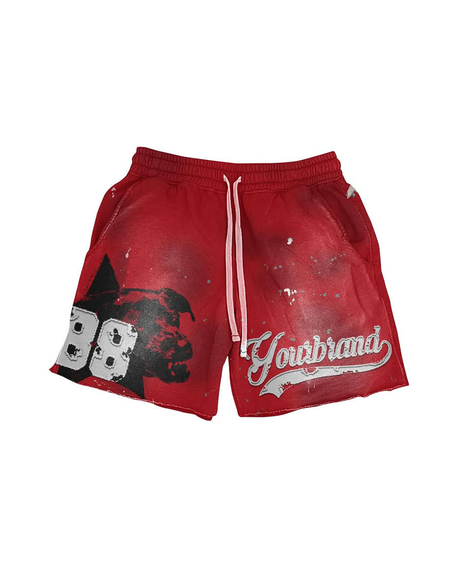 Custom Graphic Print Shirt & Shorts Set