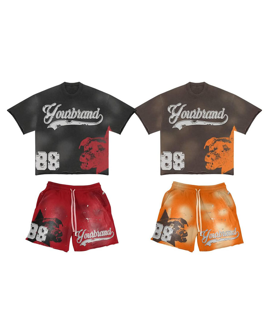 Custom Graphic Print Shirt & Shorts Set