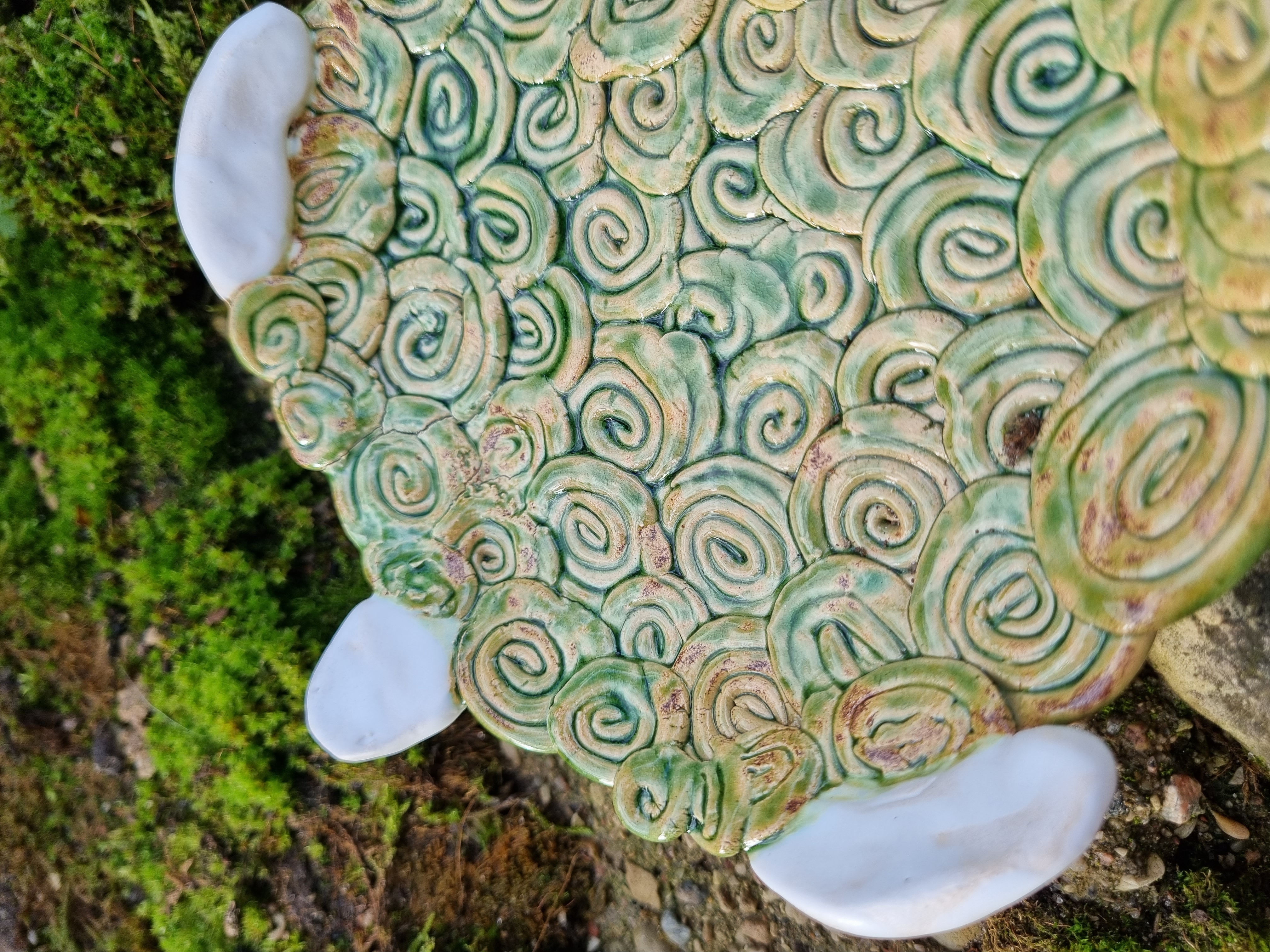 Lėkštė vėžliukas "Fluffy"