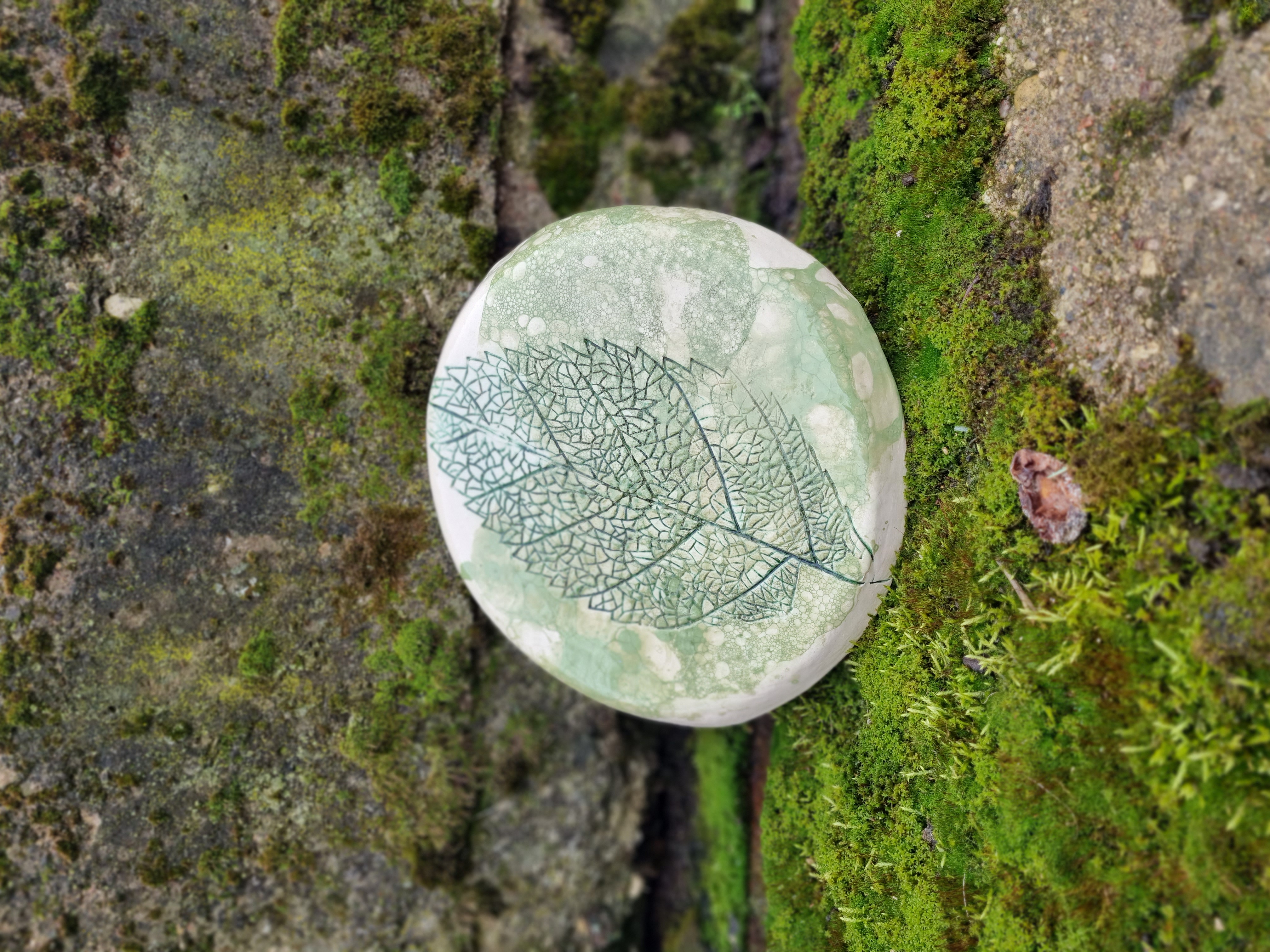 Tortinė - užkandinė