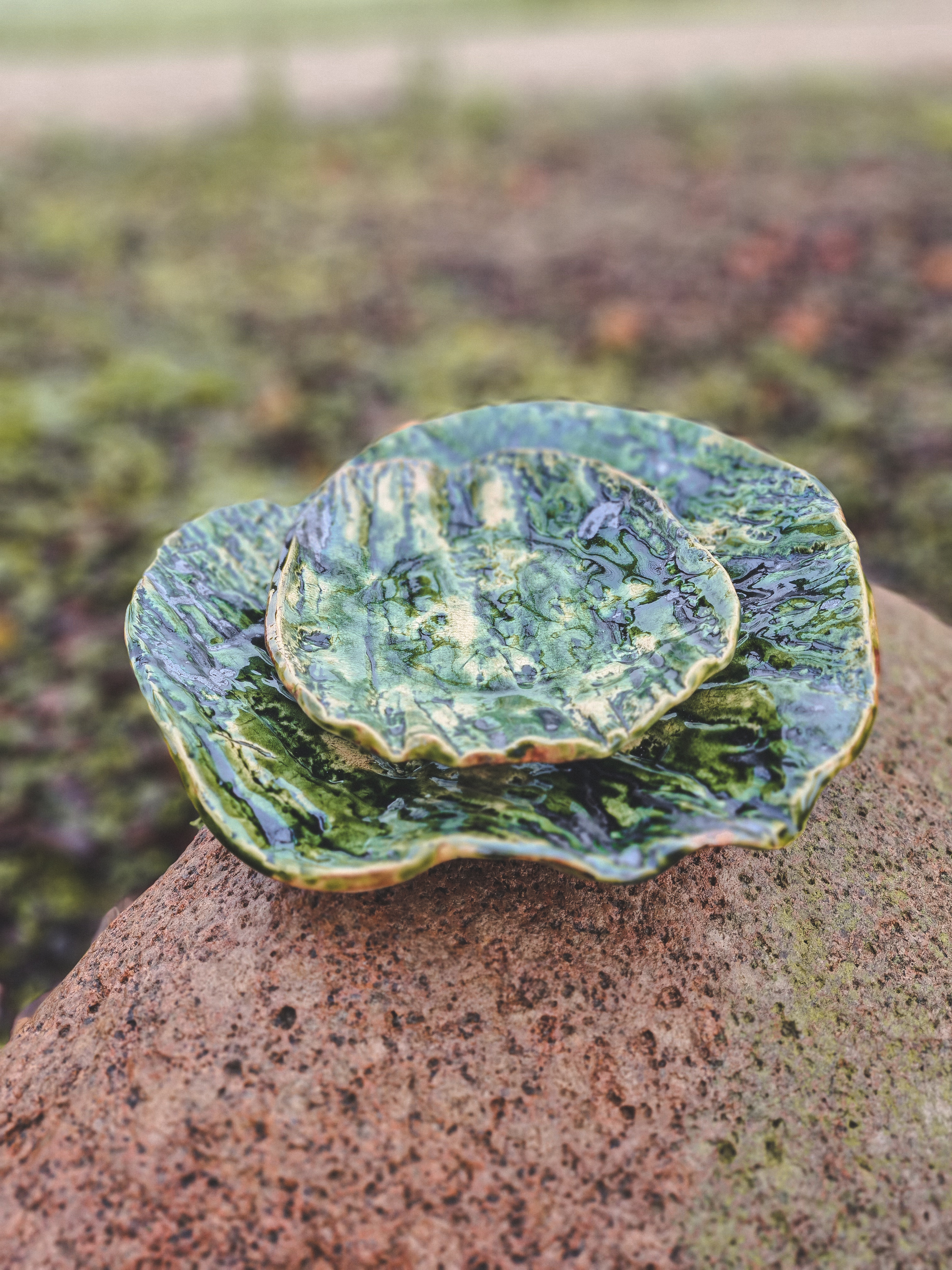 Dubuo vaisiams "Medžio žievė"