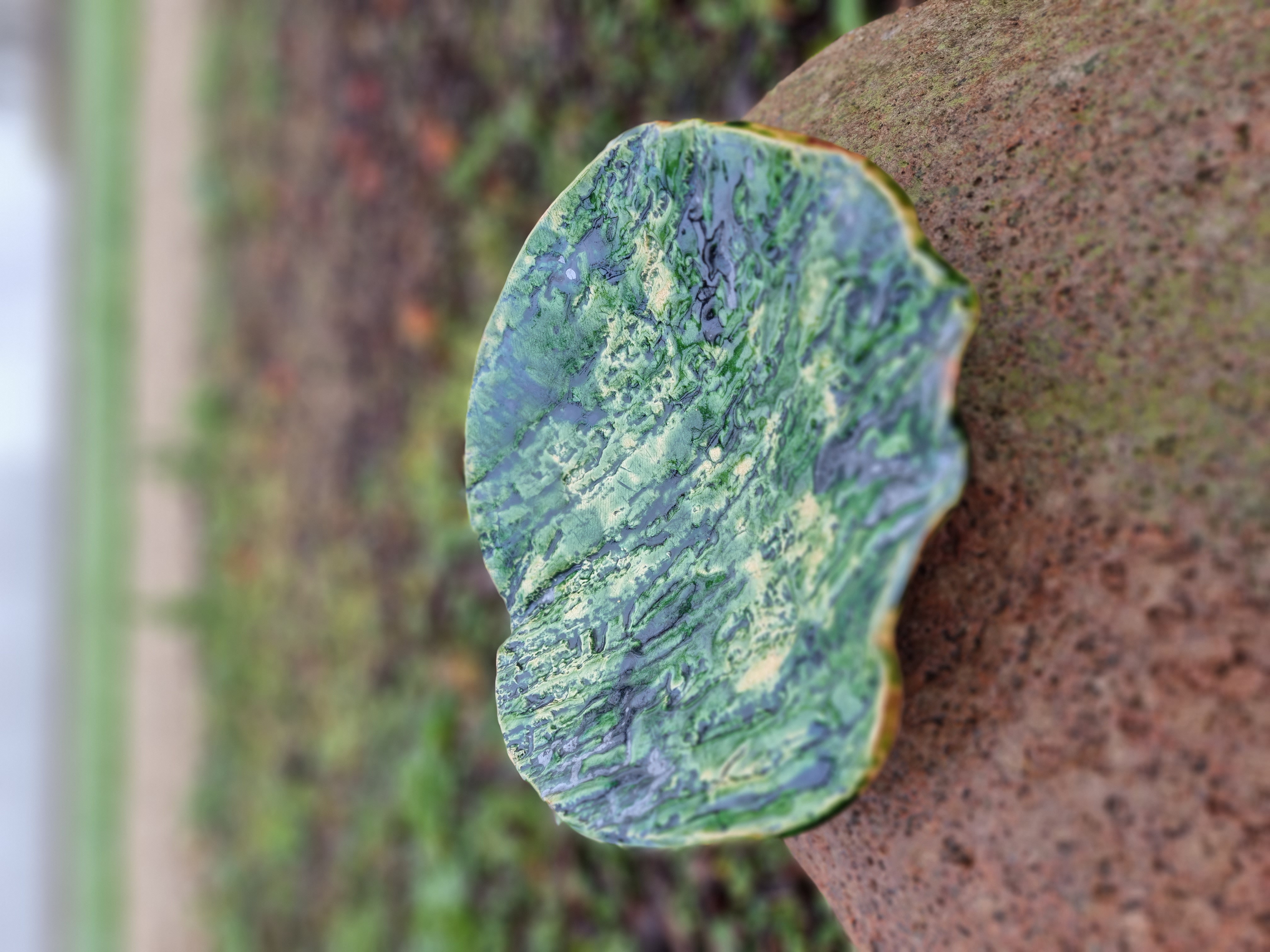 Dubuo vaisiams "Medžio žievė"