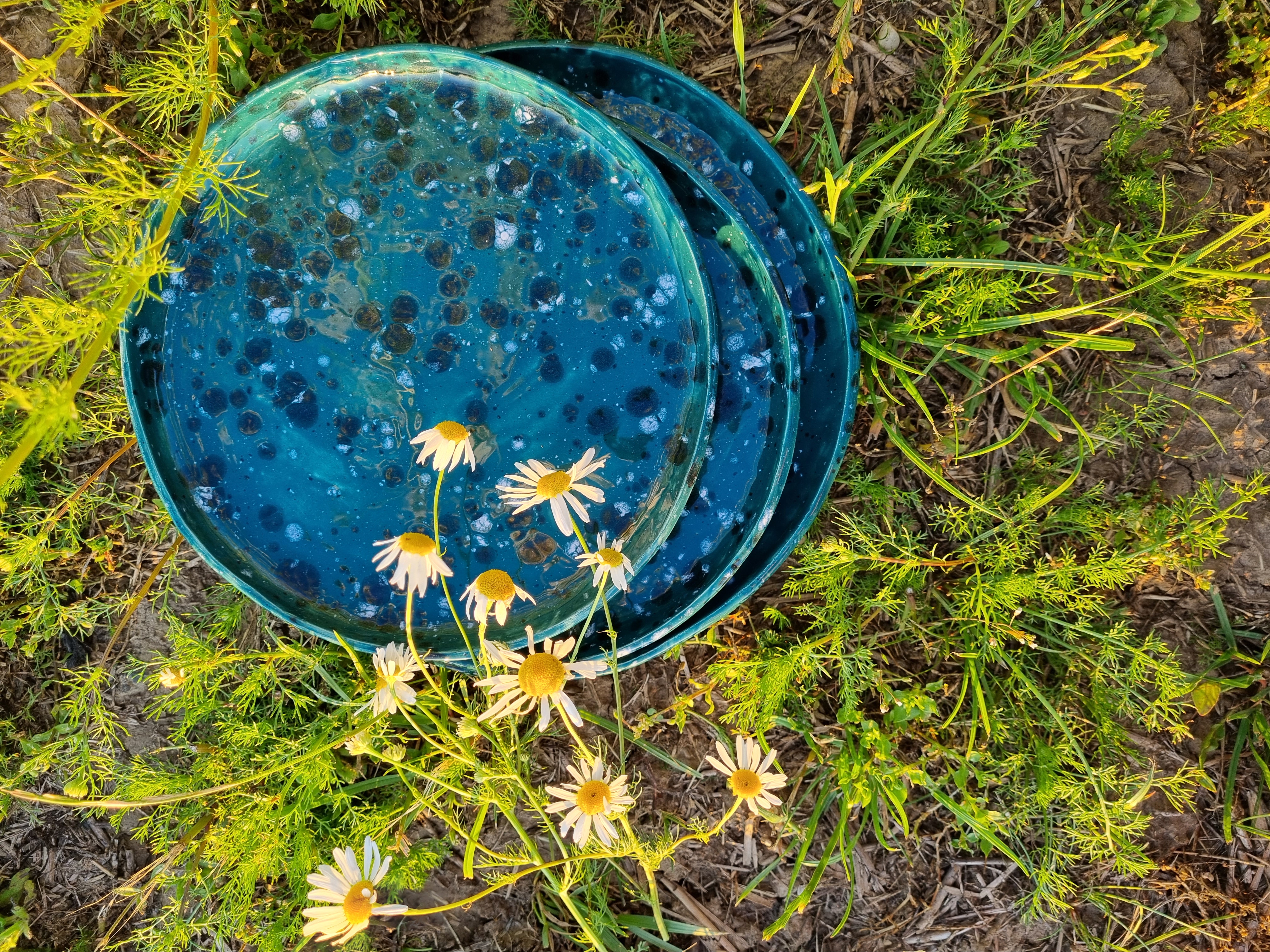 Lėkštė "Žalia gebenė"