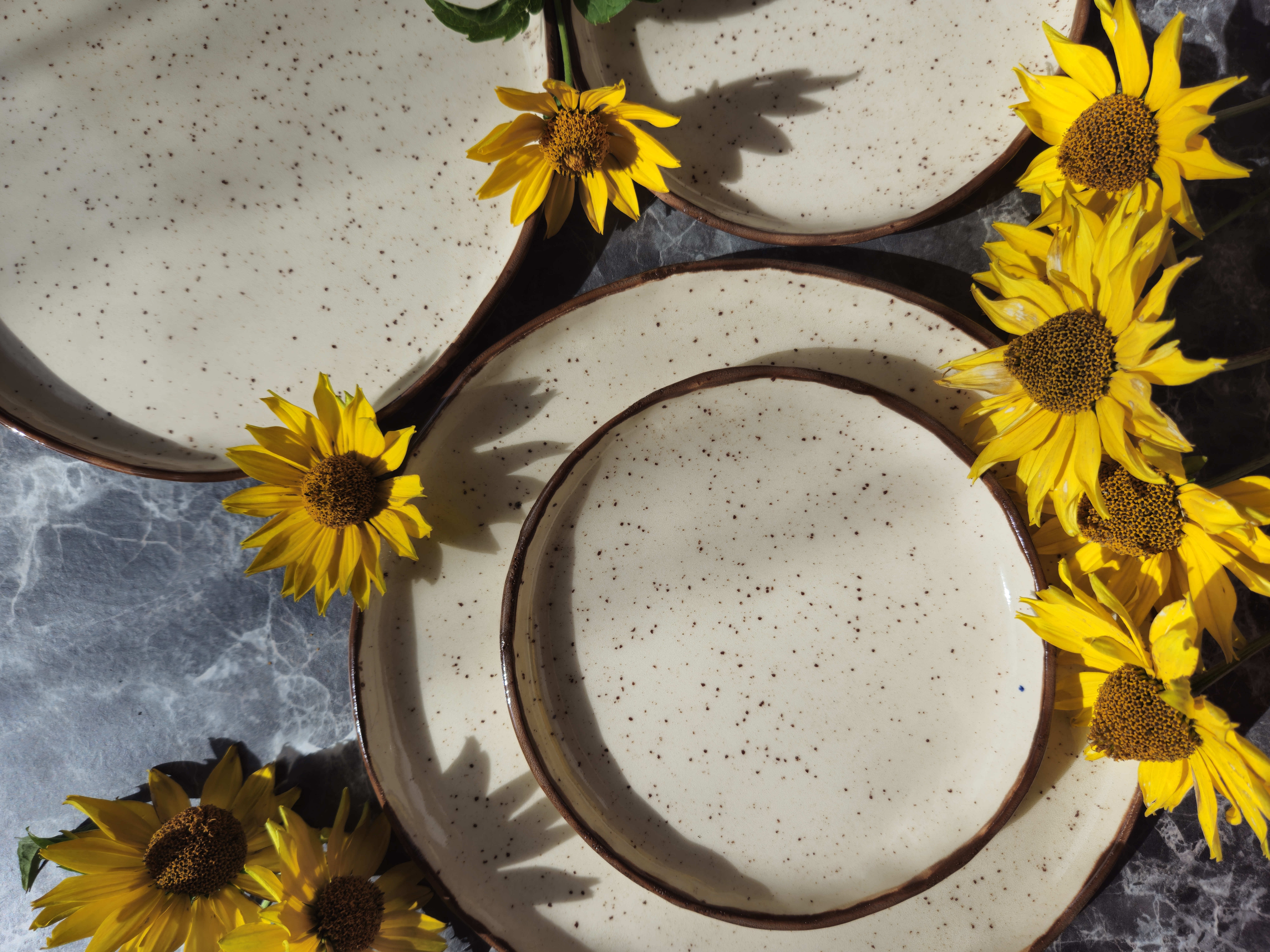 Taškuota lėkštė rudu krašteliu