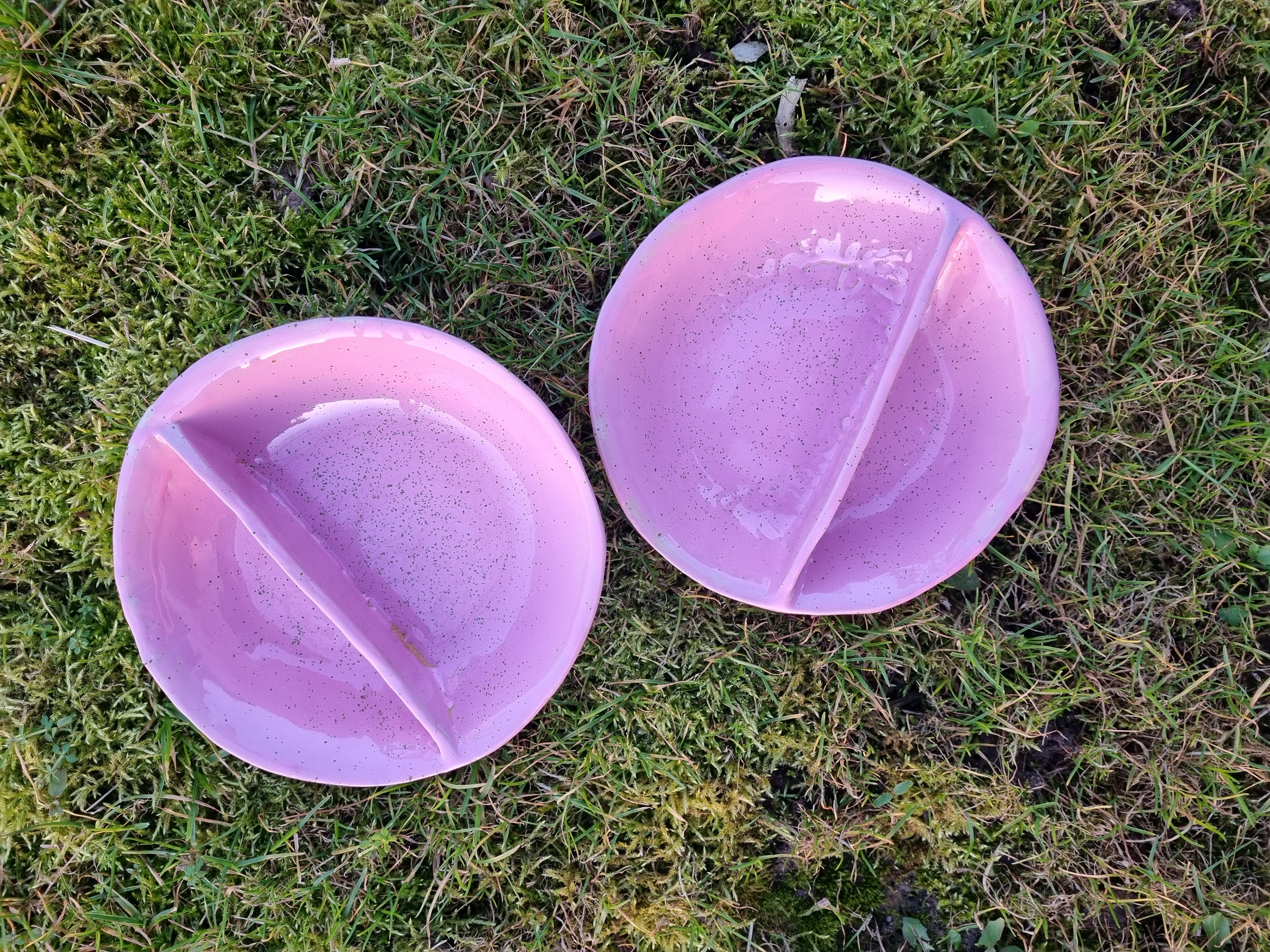 Dubenys šaltibarščiams