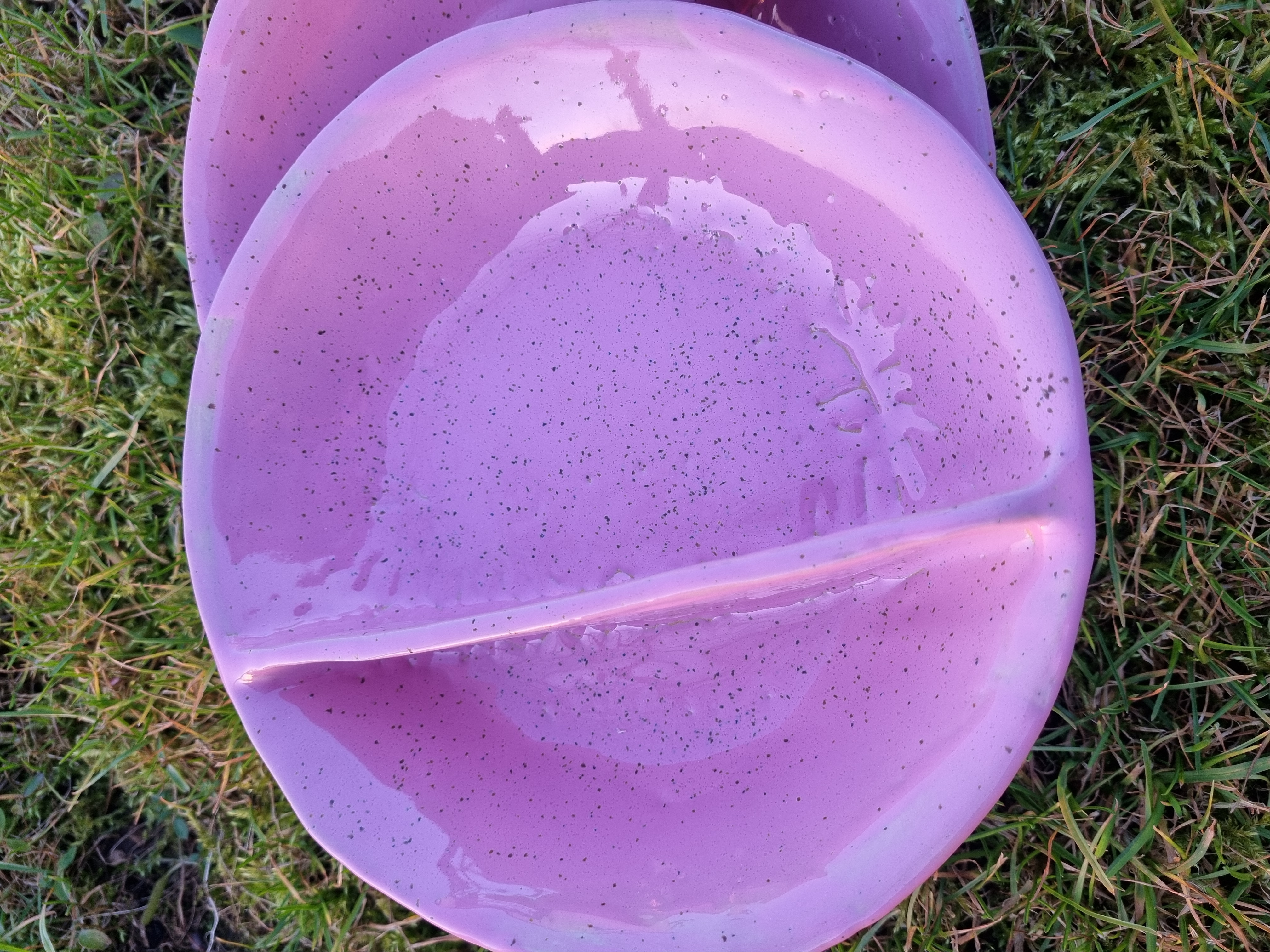 Dubenys šaltibarščiams