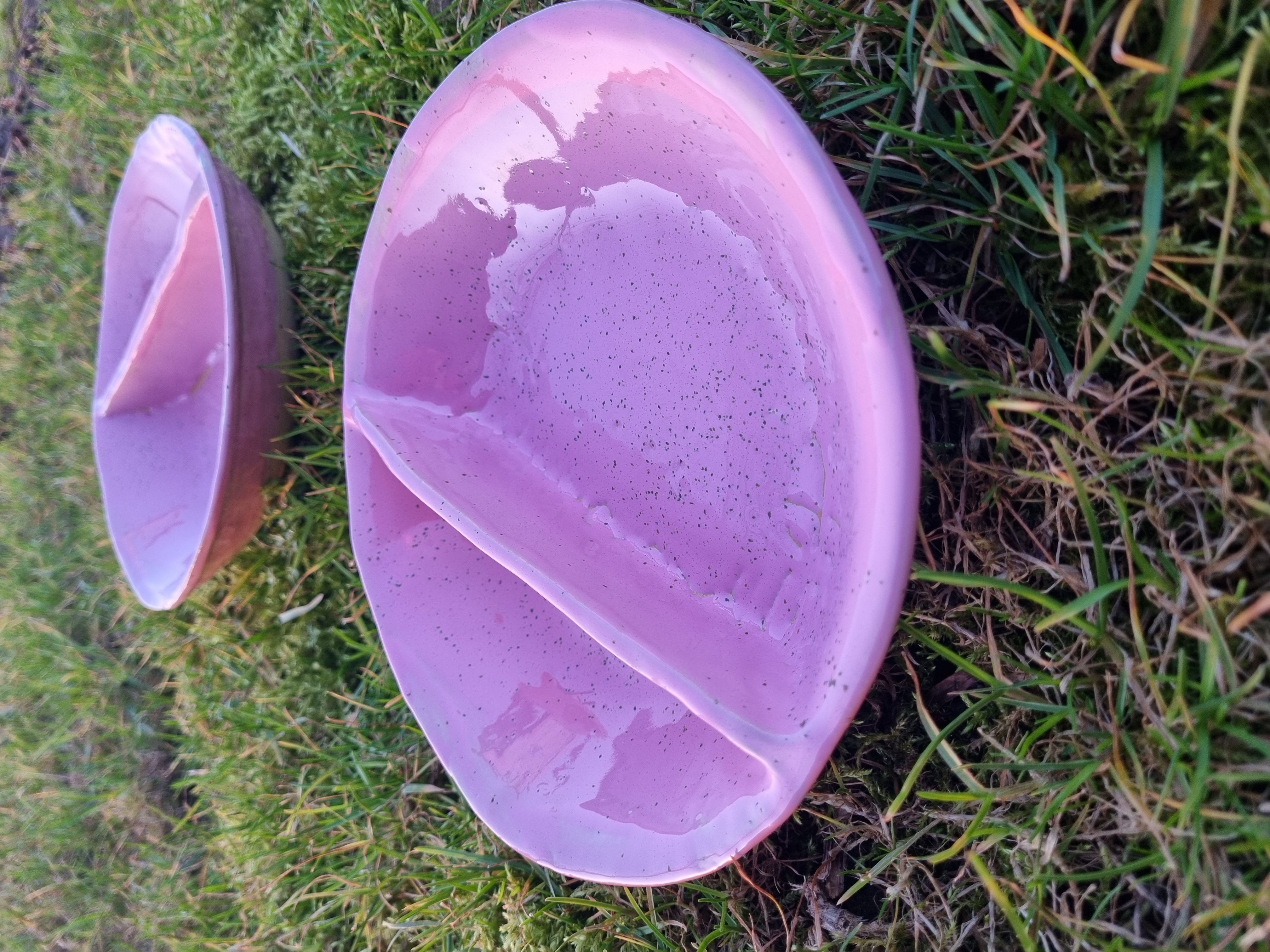 Dubenys šaltibarščiams