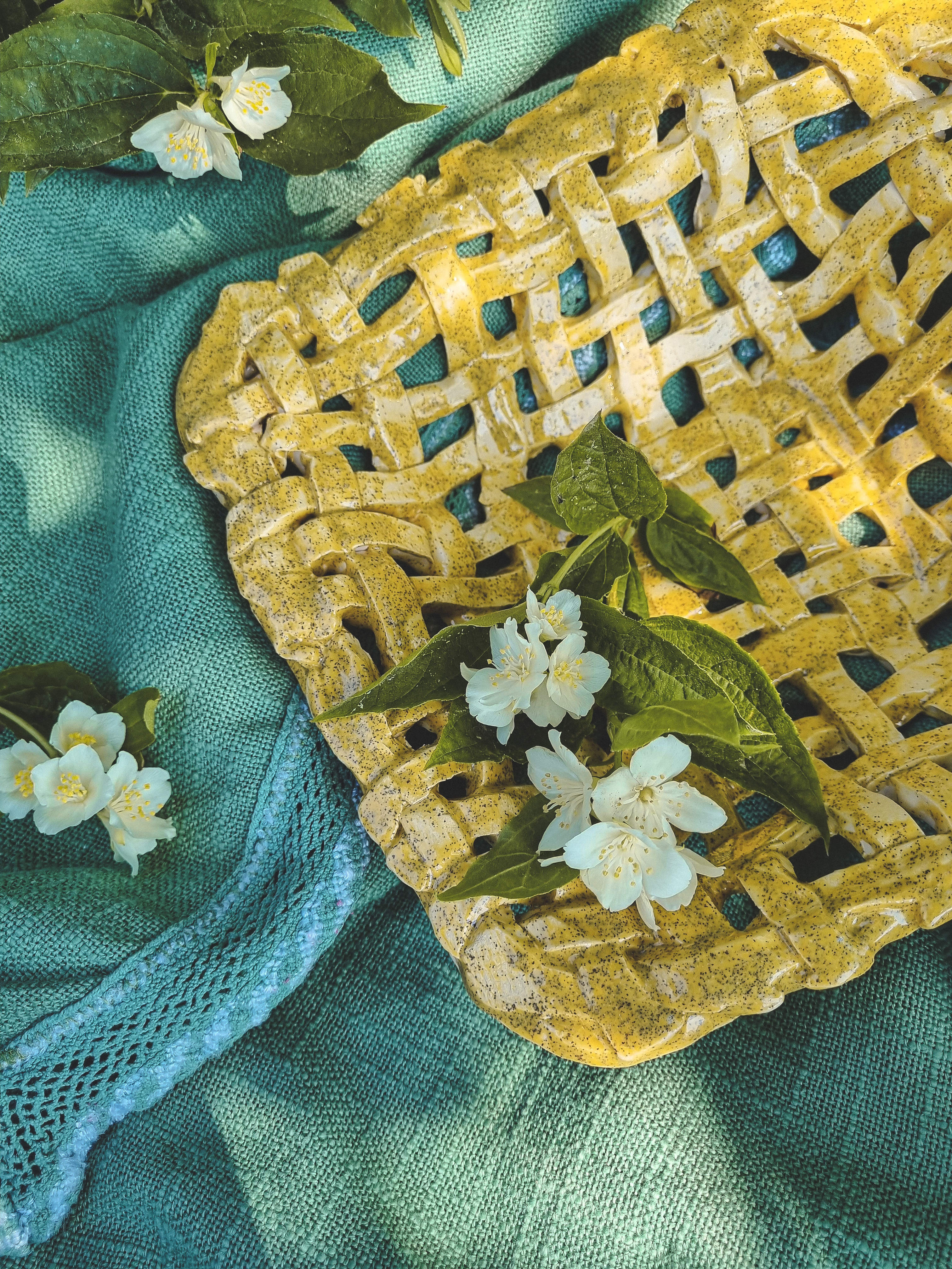 Pinta vaisinė "Sachara"