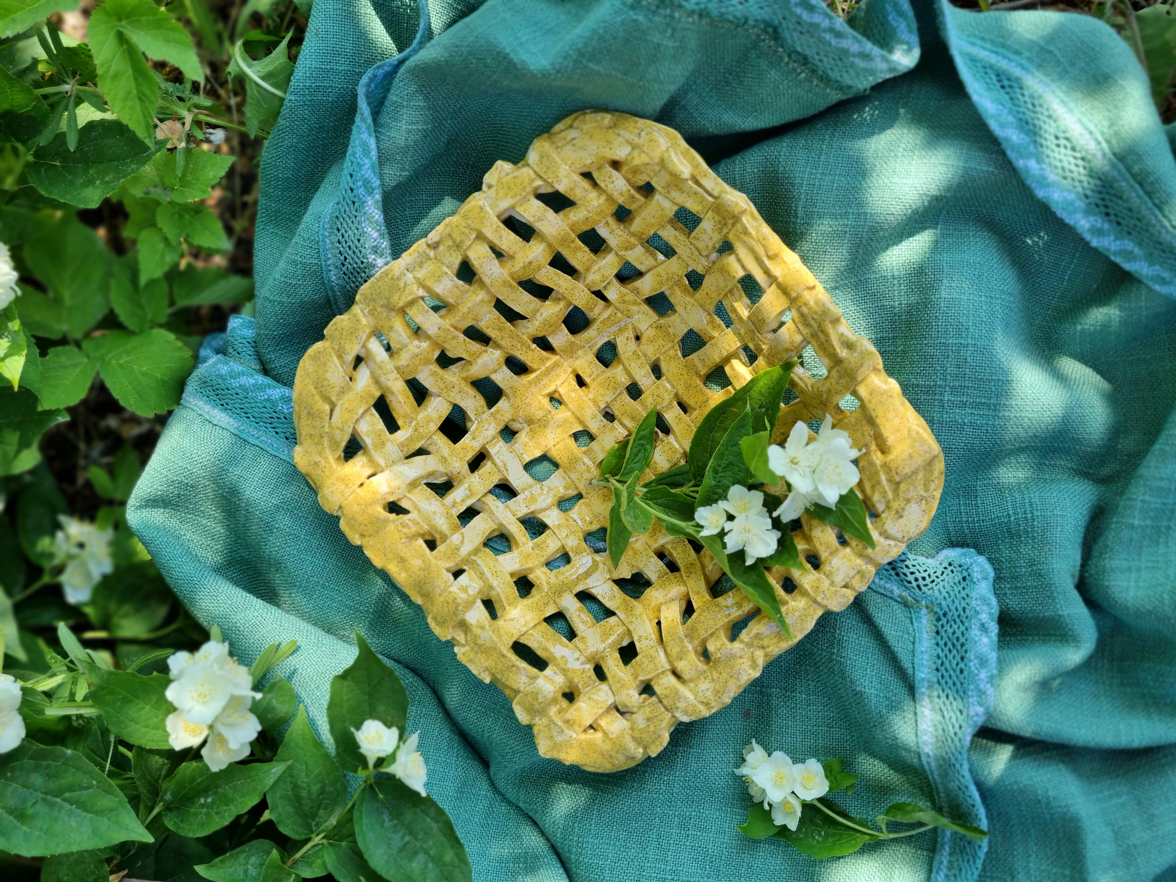 Pinta vaisinė "Sachara"