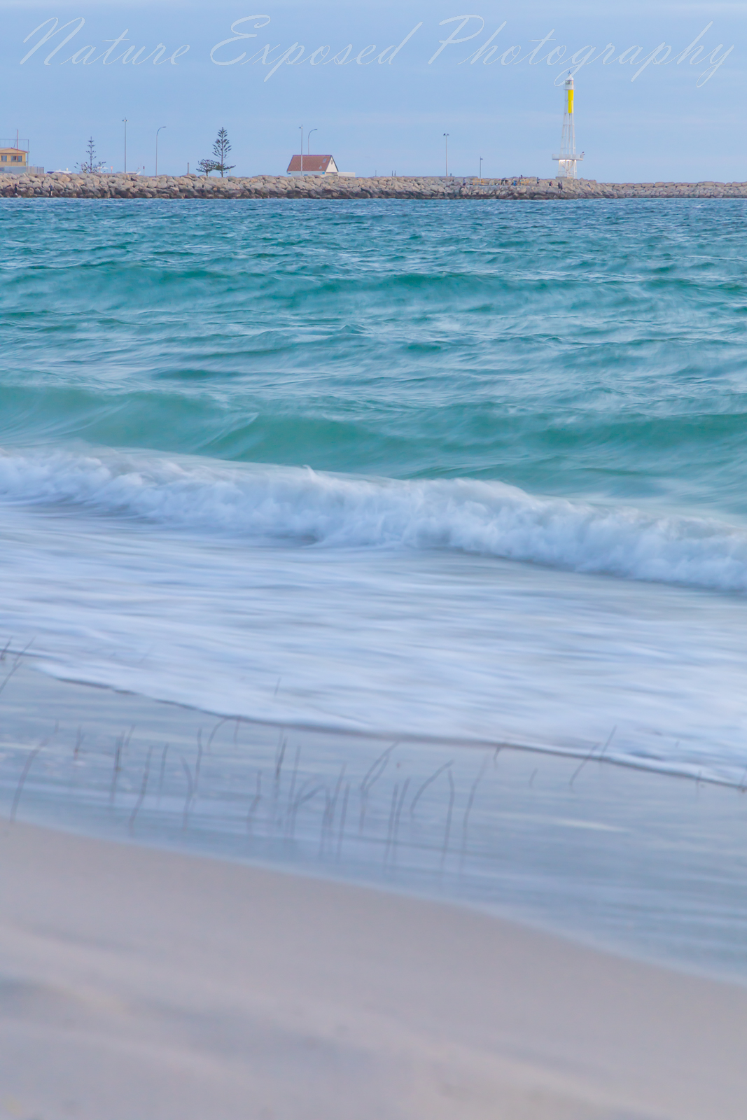 WHITFORDS NODES  BEACH 18