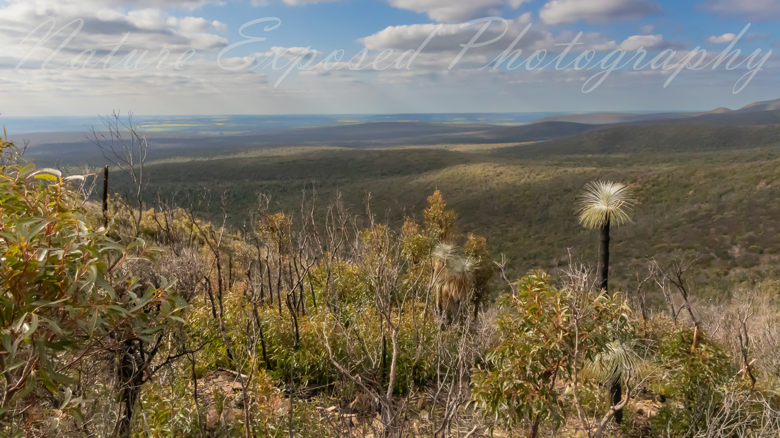 STIRLING RANGES NATIONAL PARK 2