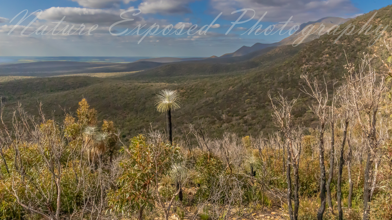 STIRLING RANGES NATIONAL PARK 3