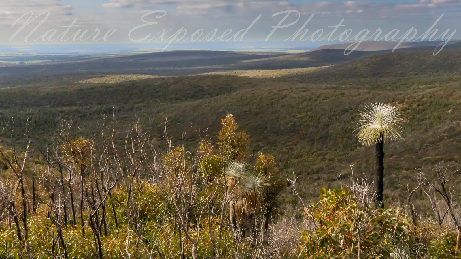 STIRLING RANGES NATIONAL PARK 4
