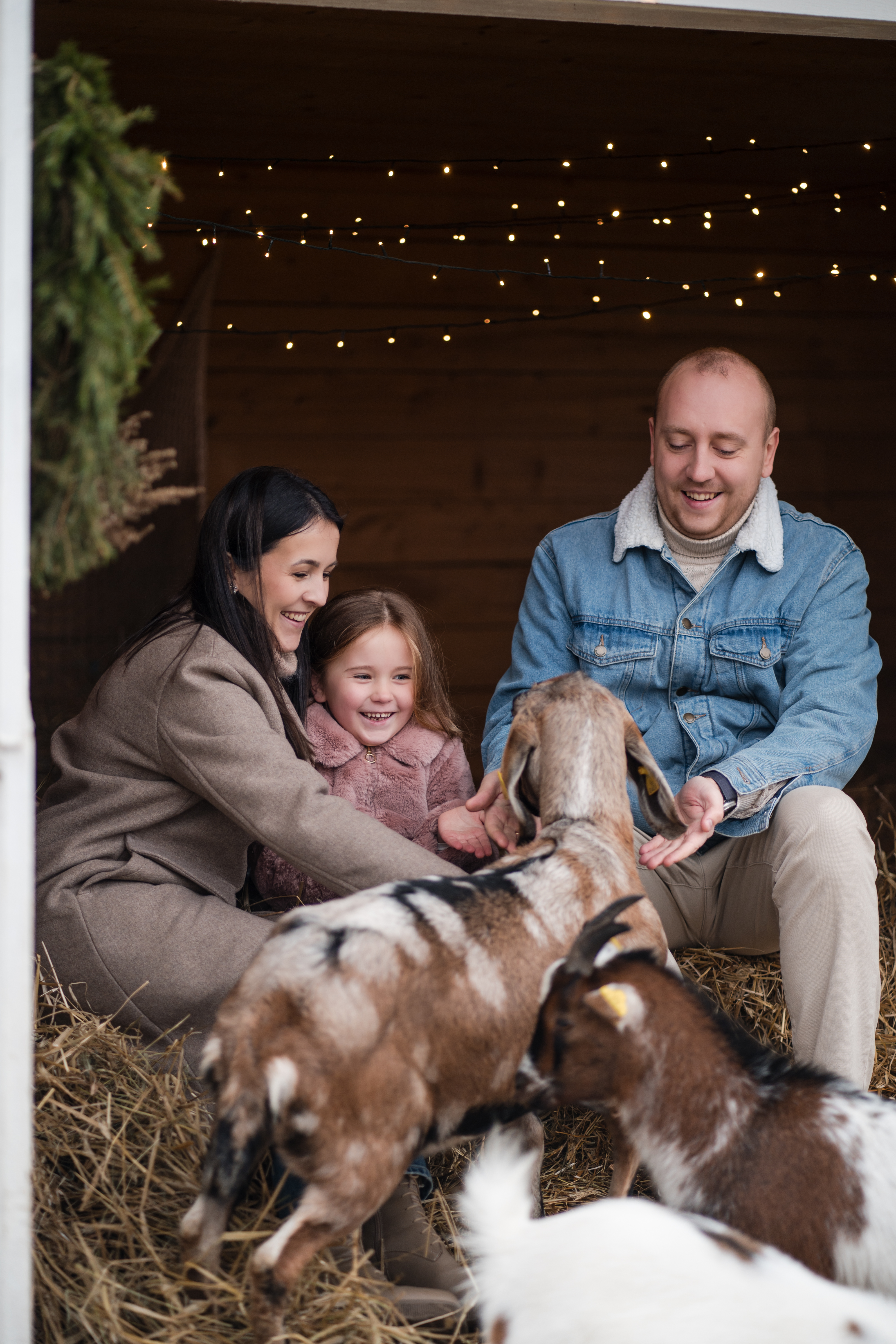 Kalėdinė fotosesija Debesų ganykloje