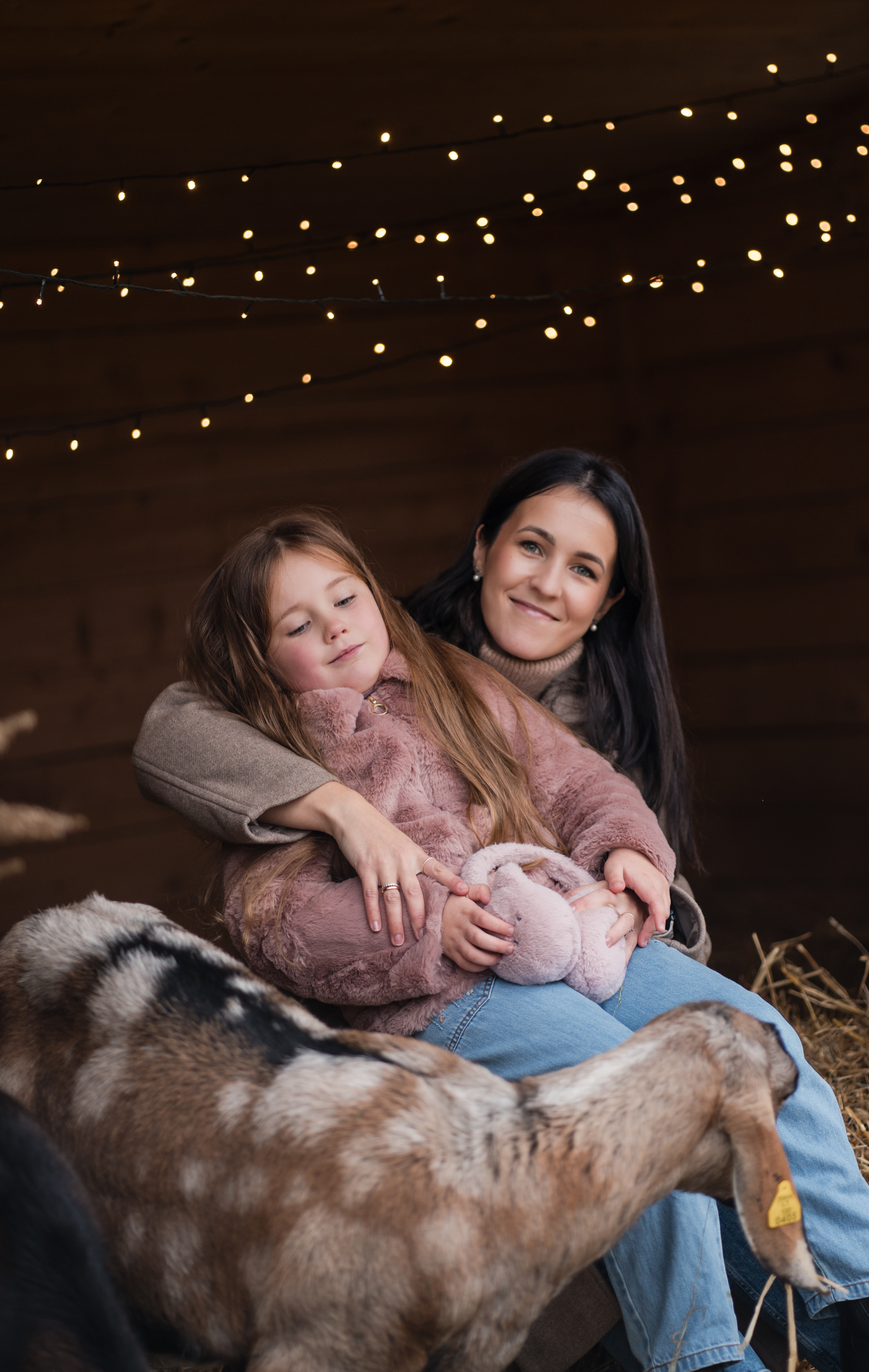 Kalėdinė fotosesija Debesų ganykloje