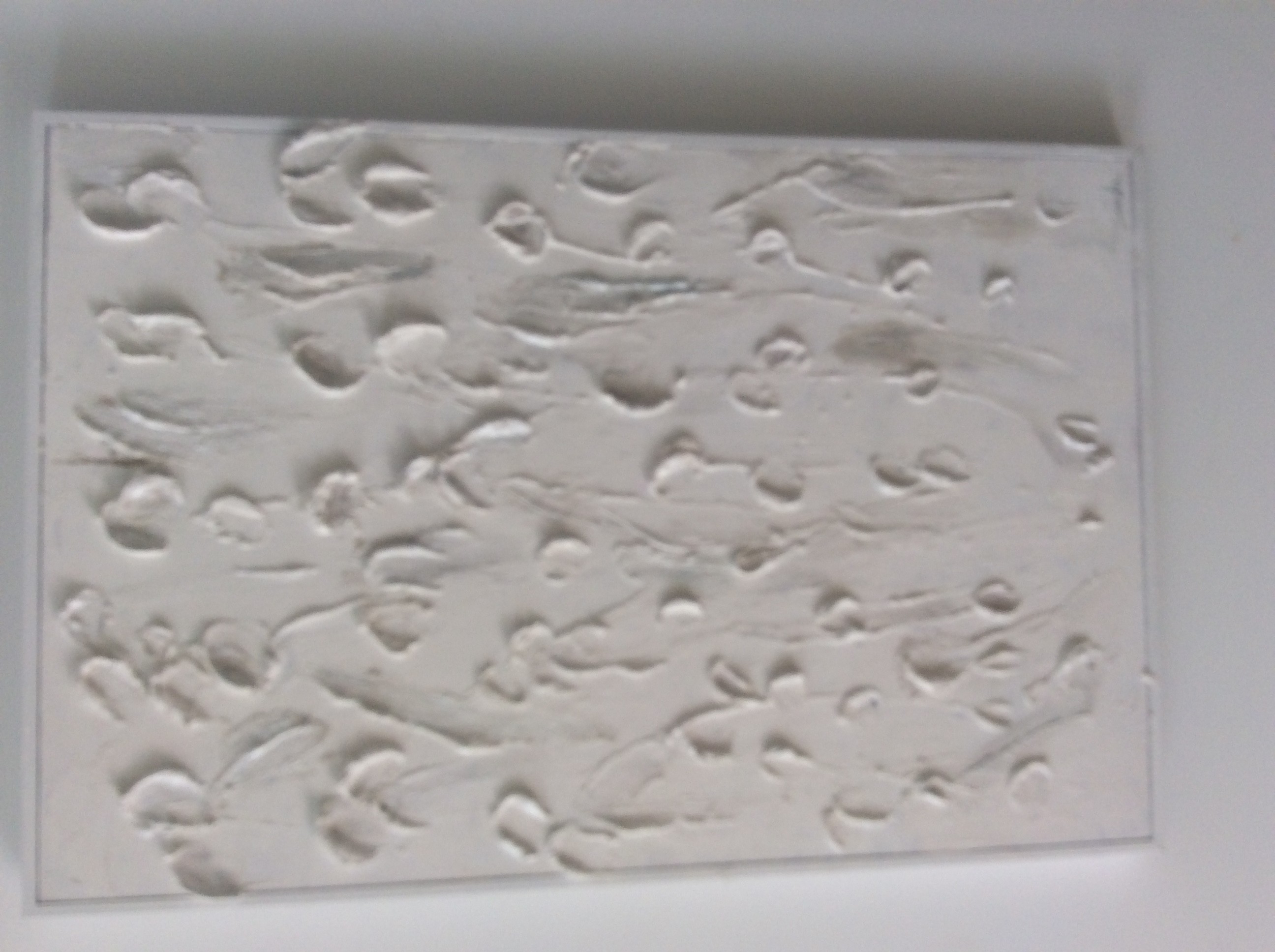 Abstract Art White rose 