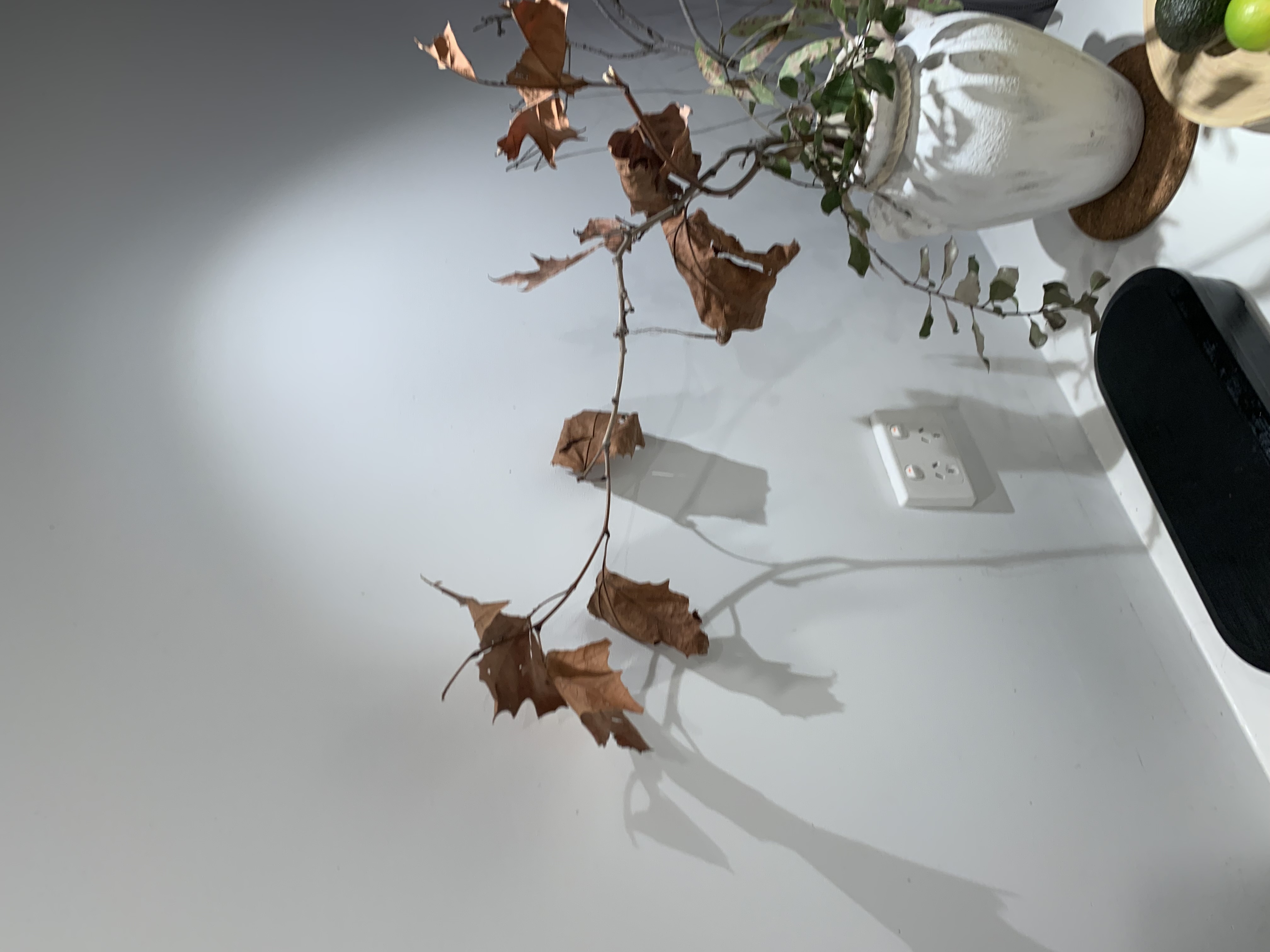 ABSTRACT ART – AUTUMN LEAVES (WHITE EDITION)